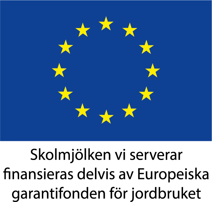 En flagga med EU:s logotyp, blå bakgrund med en ring av gula stjärnor