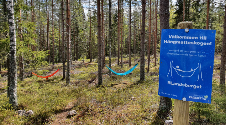 Hängmatteskogen. Till höger en blå skylt med text "välkommen till hängmatteskogen"