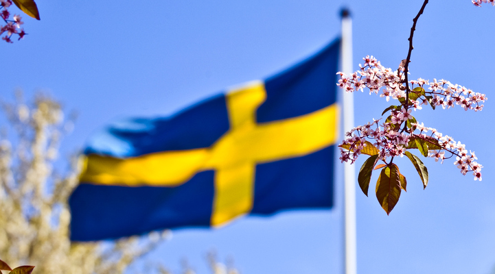 Svenskaflaggan vajar mot en blå himmel. Bildens fokus ligger rosa syrensblommor som ligger närmast i bild.
