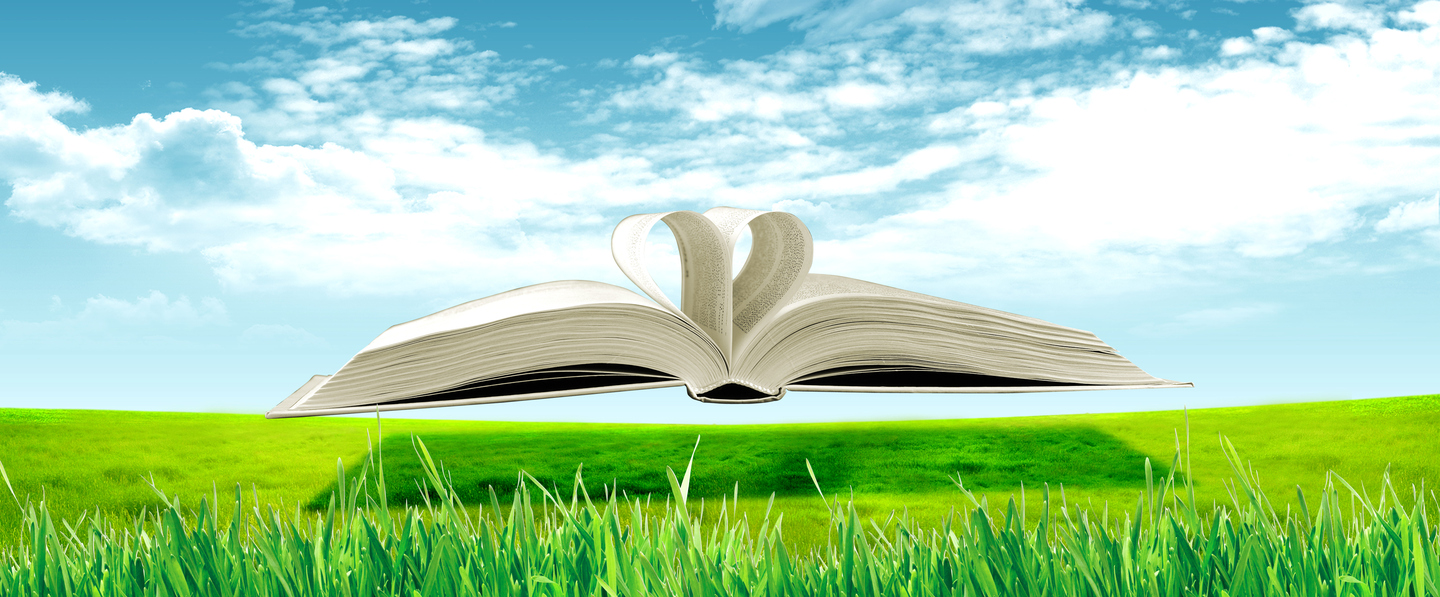 Vektoriserad bild på en öppen bok som svävar ovanför en grön gräsmatta. Bakom syns en blå himmel med moln.